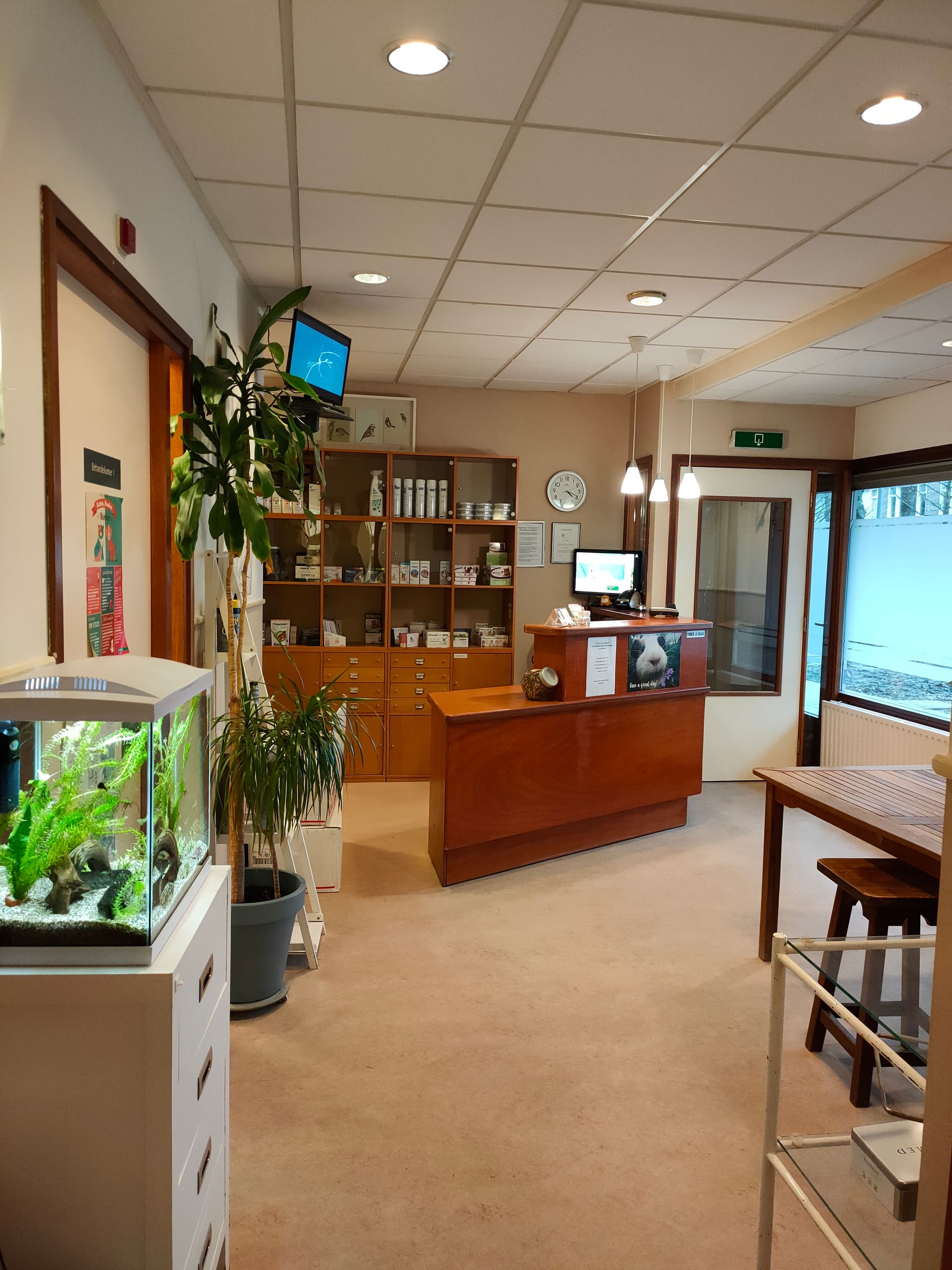 De wachtkamer van de kliniek met houten balie, aquarium en planten.