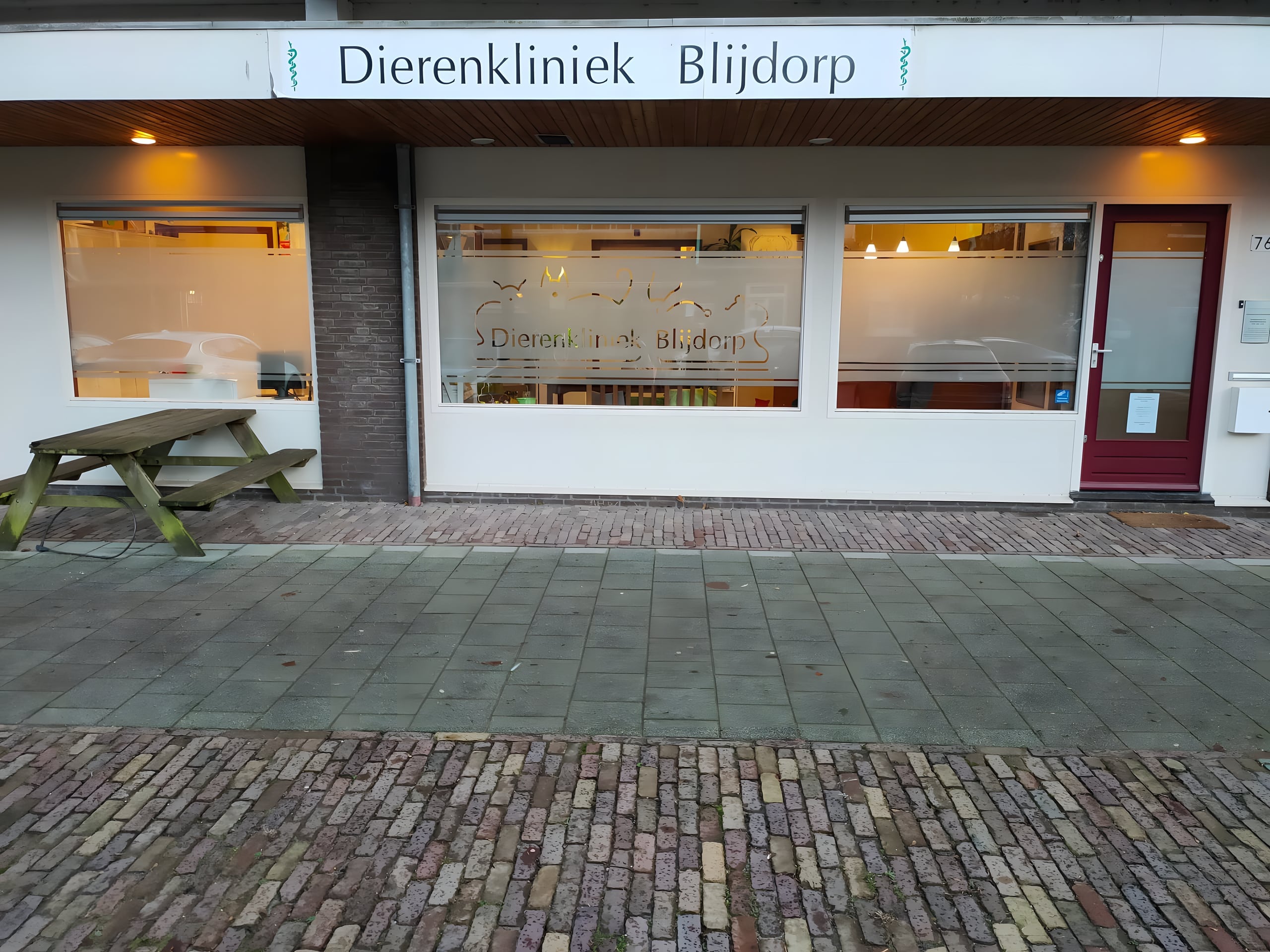 De gevel van Dierenkliniek Blijdorp aan de Schepenstraat, met verlichte praktijkramen en een rode voordeur.
